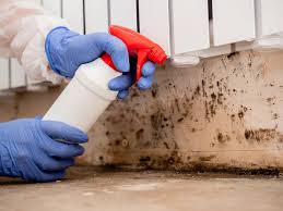 Reliable Tamalpais Homestead Valley, CA Mold Removal & Remediation Solutions